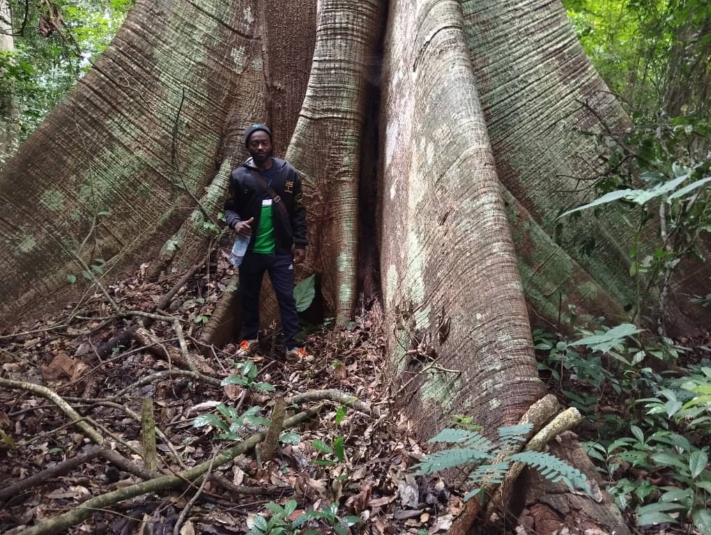 When the last tree falls… money becomes confetti.”🎉💀  
Translation:  
✅ Trees = oxygen (free)  
✅ Fish = protein (not cash)  
✅ Clean water = life (not lattes)  

Eat your salad, not the planet.🥗