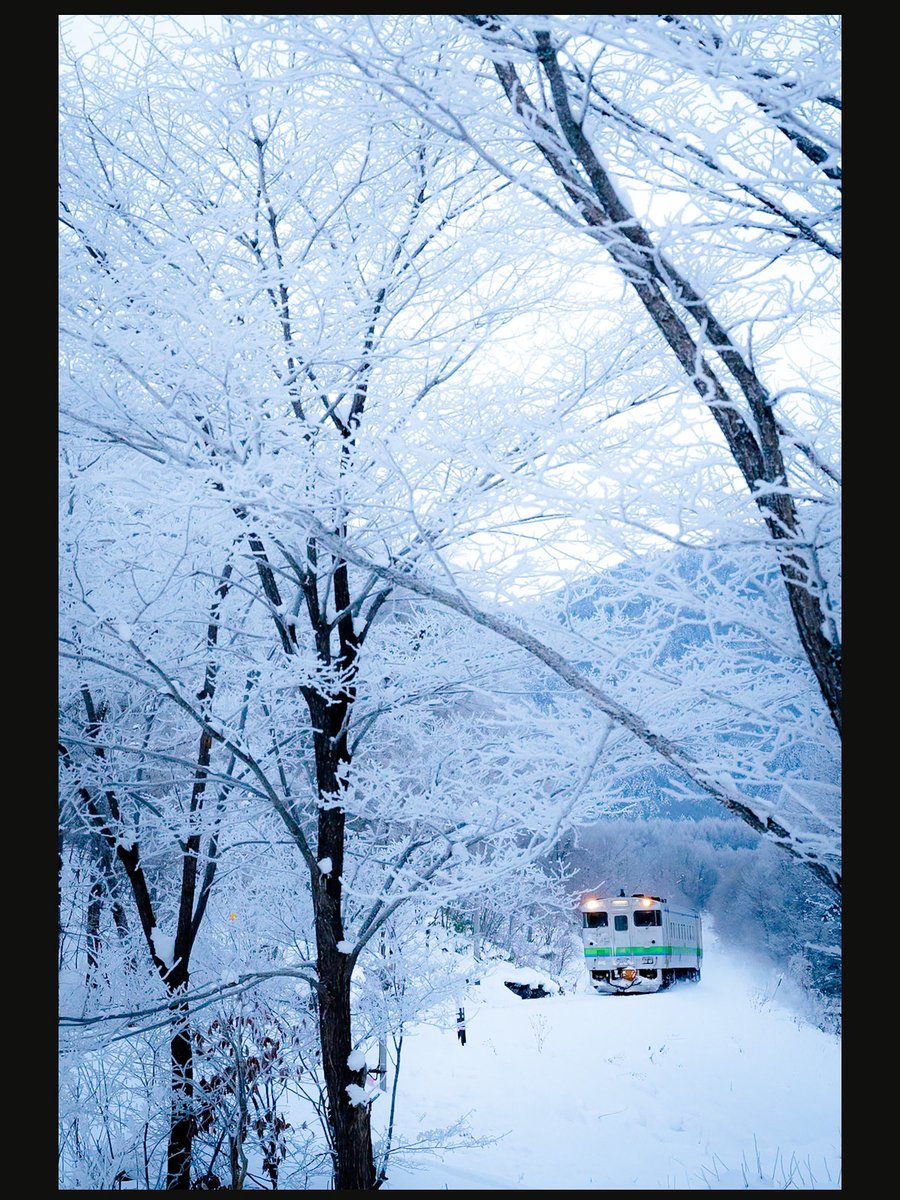 やっちん 12/31 西し08b (@dac5b5d90f994c1) / Posts / X