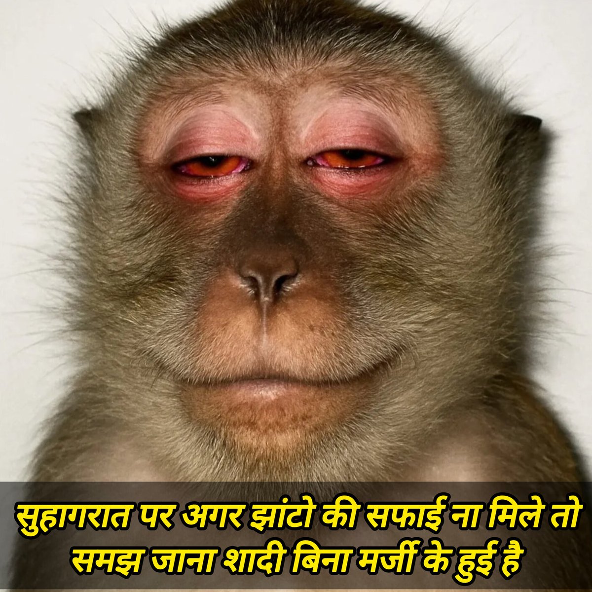 EHuman0's tweet image. Note kar lo