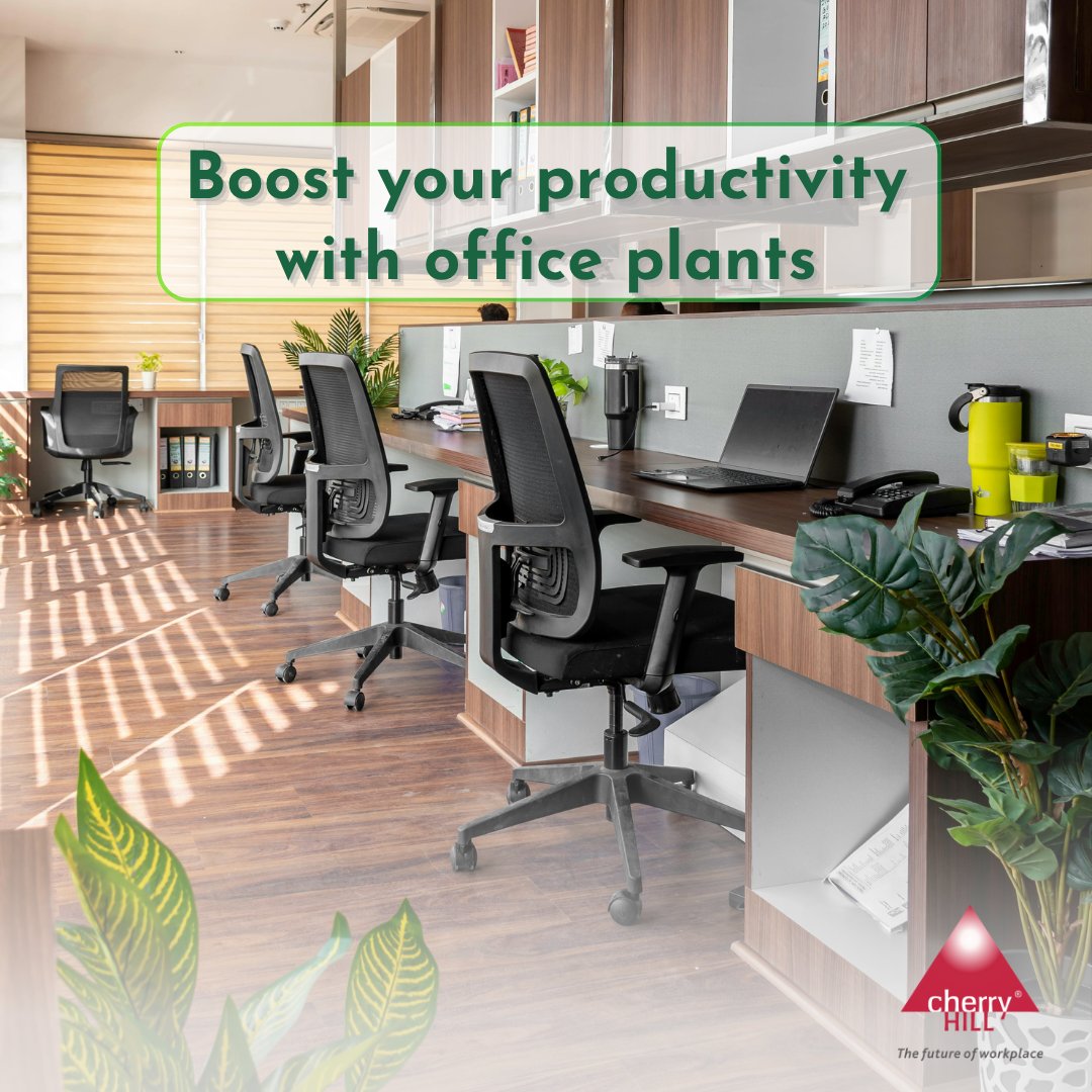 CherryHillDelhi's tweet image. Did you know that adding plants to your office can help reduce stress and increase productivity?

#CherryHillInteriors #TheFutureOfWorkplace #ProductivityHacks #SuccessMindset #QualityOverQuantity #ProductivityTips #StayFocused