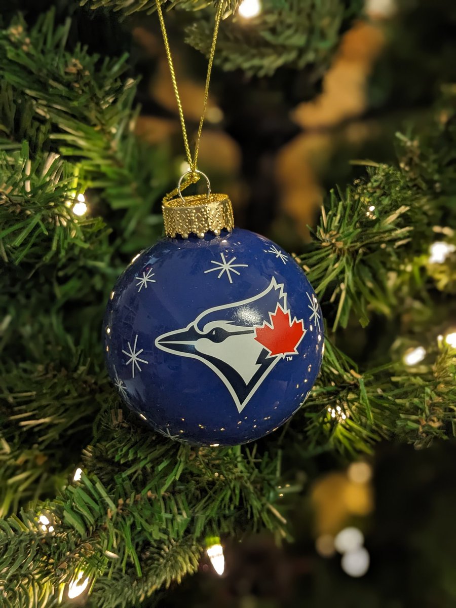 ayaka_msgON's tweet image. 義母から誕プレでこれを5個いただいた💙かわいい！！