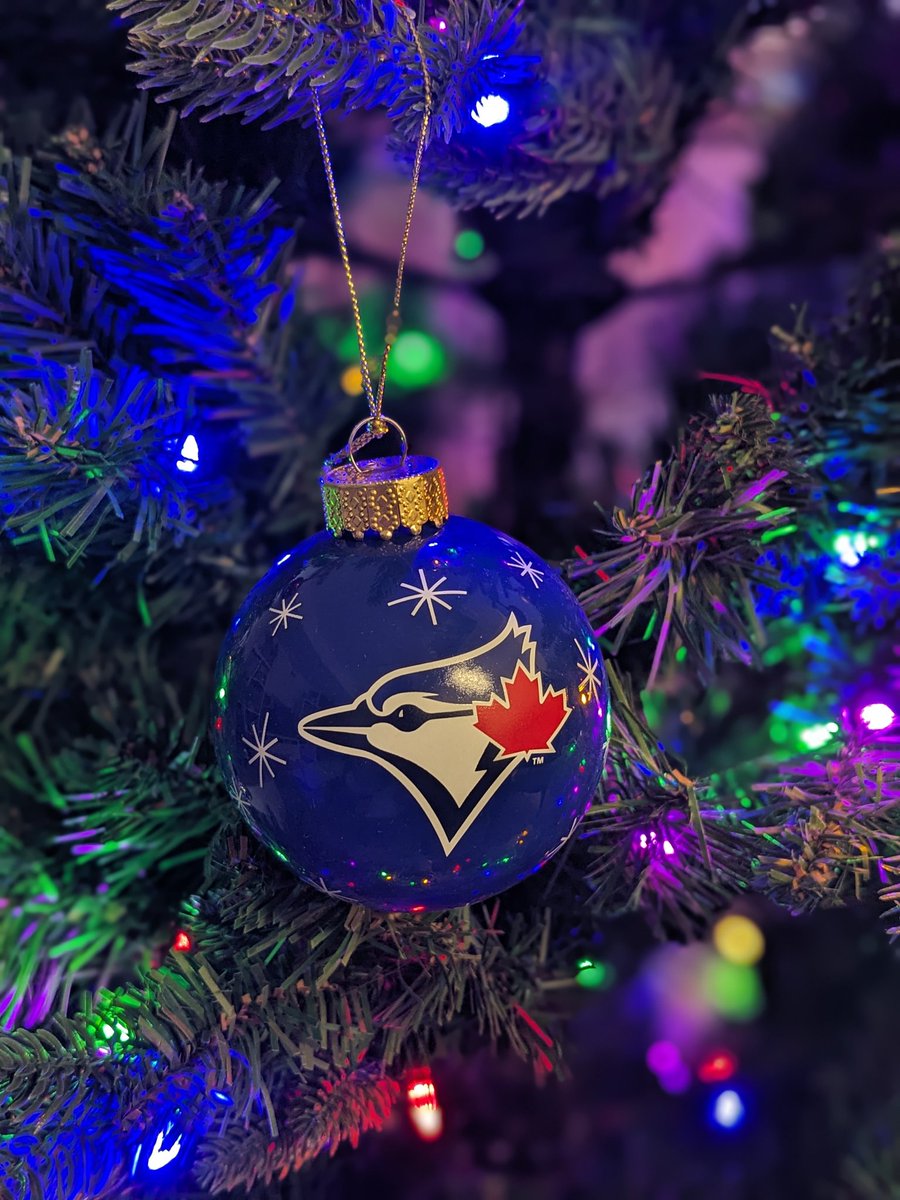 ayaka_msgON's tweet image. 義母から誕プレでこれを5個いただいた💙かわいい！！