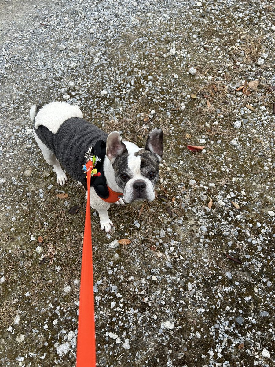 今朝も保育園への送りミッション完了。寒くなってきましたね〜(･_･;おはようございます