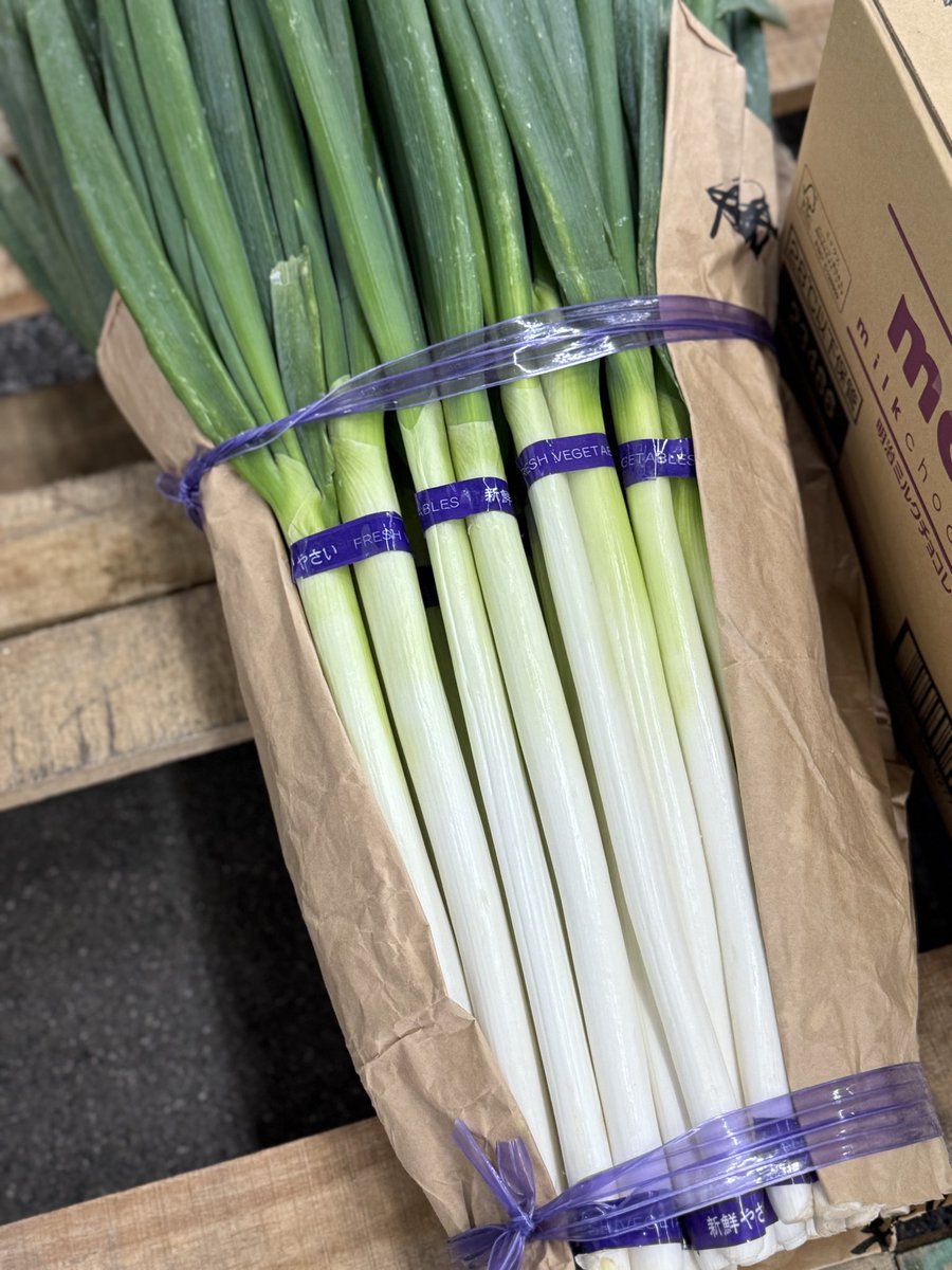 negiねぎ 仕入れ速報 白ネギ 150円 九条ねぎ 130円