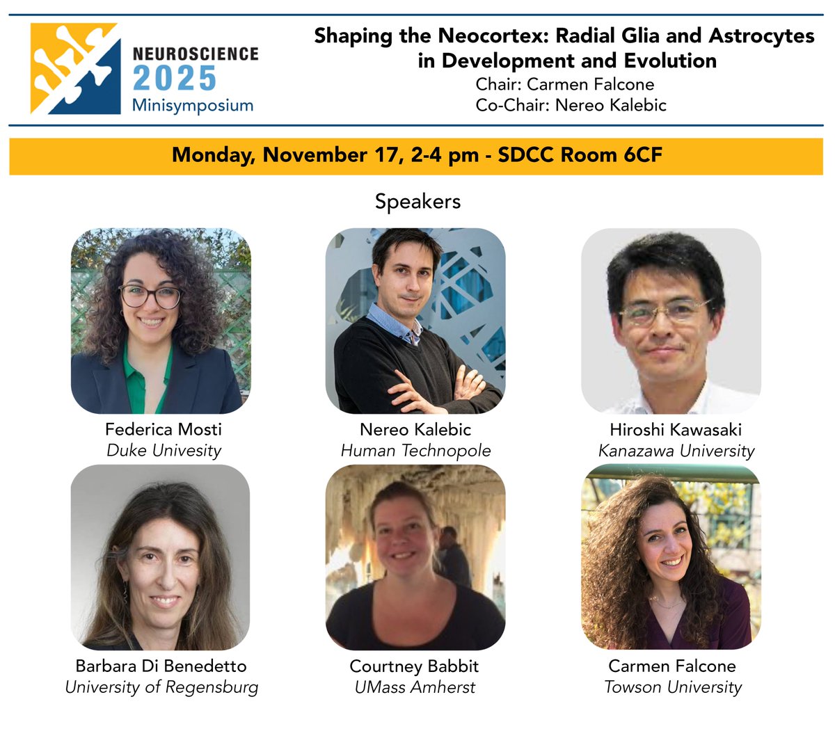 Who is coming to #SfN2025?

Join our minisymposium on Monday at 2 pm 😍👇

<a href="/KalebicNereo/">Nereo Kalebic</a> and I can't wait to chair this minisymposium bridging most of our dearest research interests!

#radialglia #astrocytes #evolution #Development