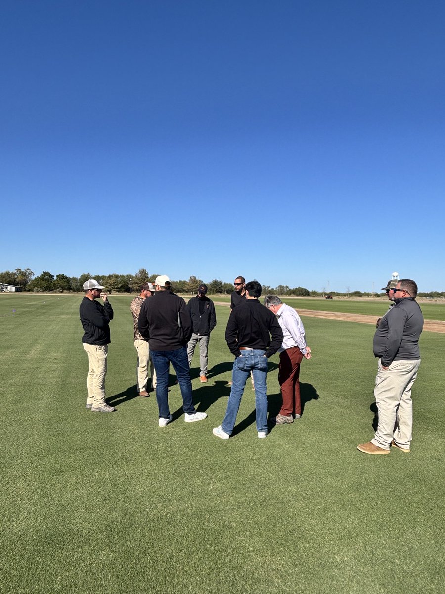 Precision Turf, LLC tweet media