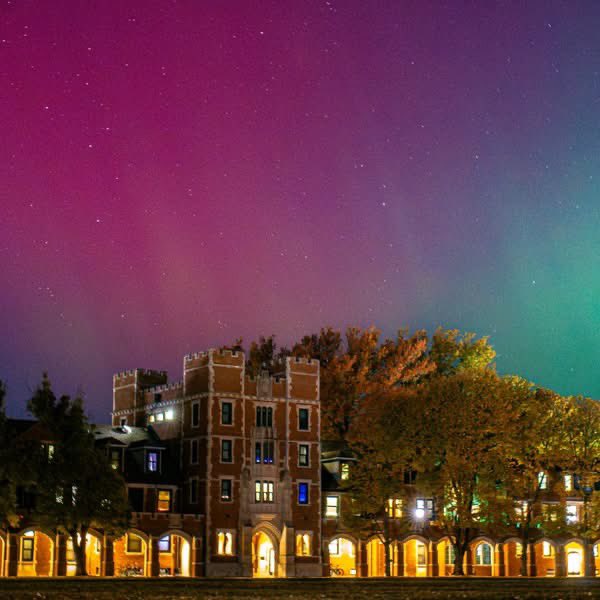 Jack Phillips tweet media