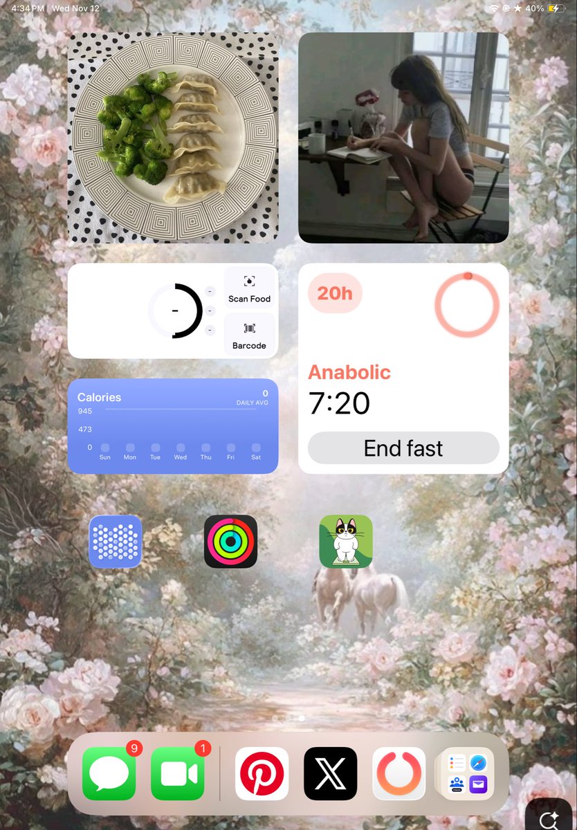 calcounter009's tweet photo. I just reorganized my iPad I love it so much 🤭 https://t.co/War4Tbm3l6