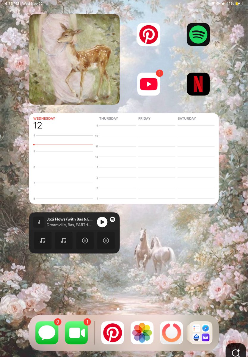 calcounter009's tweet photo. I just reorganized my iPad I love it so much 🤭 https://t.co/War4Tbm3l6