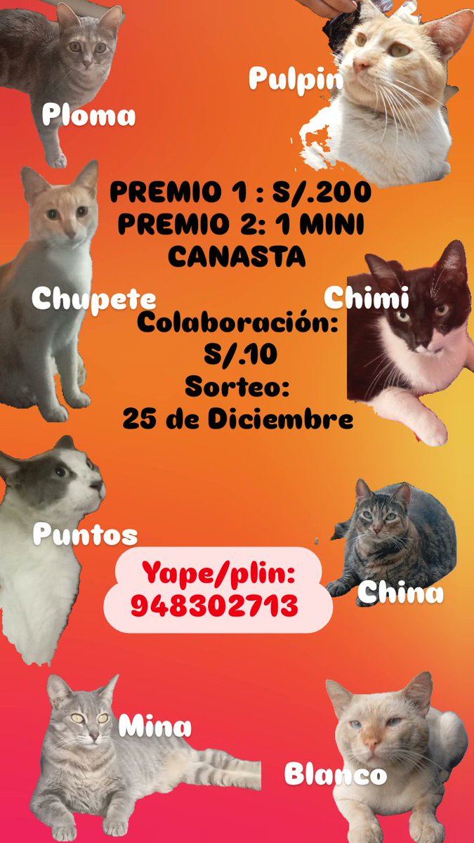 🚨🚨AMIGOS DE LOS PELUDITOS 🐶🐱 SE SUSPENDE LA RIFA 😔 SOLO COMPRARON 5 NÚMEROS 💔🚨🚨