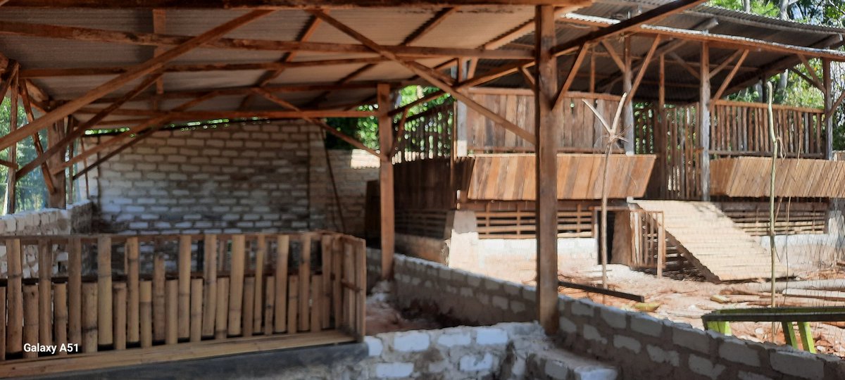 Yth. Bapak Wapres RI <a href="/gibran_tweet/">Gibran Rakabuming</a> untuk memenuhi kebutuhan rumah tangga dan biaya pendidikan anak, kami butuh modal usaha peternakan bebek petelur utk 300 ekor. Lokasi dan kandang sdh siap tinggal dana pengadaan bebeknya. Demikian semoga BPK berkenan membantu kami, terimakasih