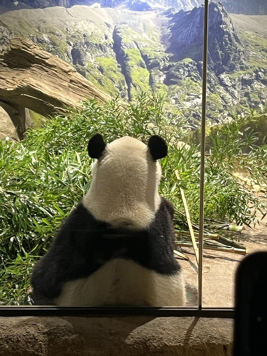 ぱんだぱんち🫙 (@G7qDy6Dbu6X9YTn) / Posts / X