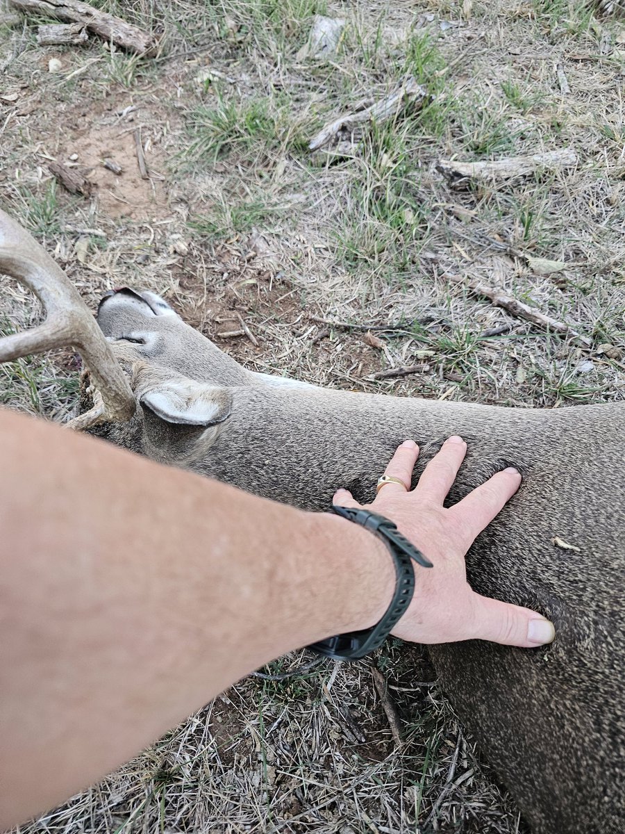 Thank You Mother Nature for the Blessings of the future meals for my Family!! I'm so Blessed to have these Opportunities!!👊💪🦌