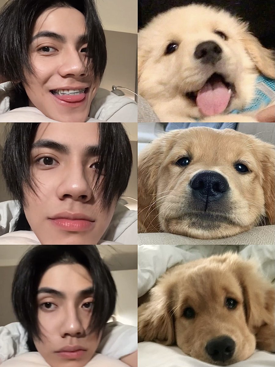 ‎ ‎ 𓈒 ⟡🧚🏻‍♀️ Peanut ୨ৎ 𓈒 ݁⋆ tweet media