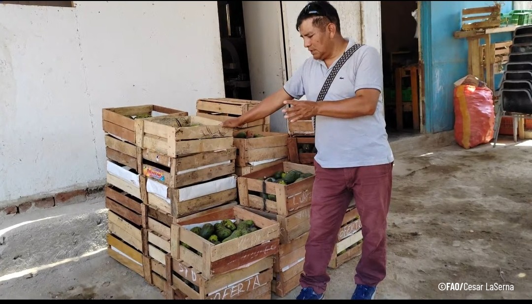 #Hilo 
La recuperación de alimentos evita el desperdicio y asegura que productos frescos lleguen a quienes más lo necesitan. Es una acción real contra el hambre y por el derecho a la alimentación. FAO acompaña estas iniciativas porque nutrir al país empieza en los territorios.