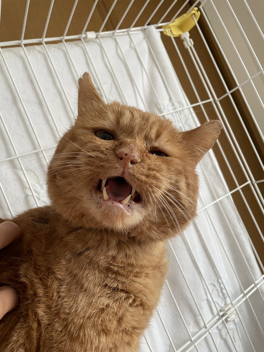 tamako811 (@tama24346) / Posts / X