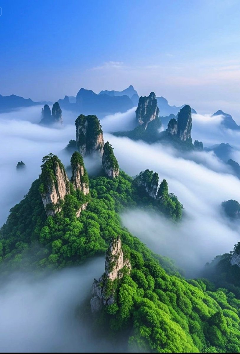 lavine90451045's tweet image. 安徽黄山，云雾缭绕，人间仙境。#大美中国