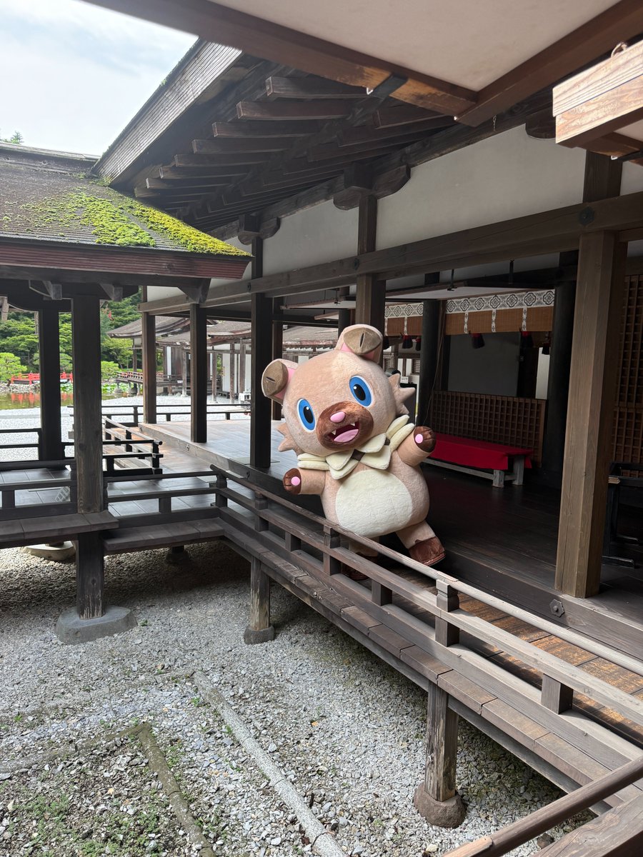 【ポケモン公式】 「ポケモン Kids TV」にて
#イシツブテ のうた「イワんこっちゃないイシツブテ」
～岩手県バージョン～が公開されました。
県内各地で撮影された作品で #えさし藤原の郷 でも撮影されました。

是非YouTubeでご視聴ください
＃岩手県奥州市 #みちのくFC　

youtube.com/watch?v=a3LQ4m…