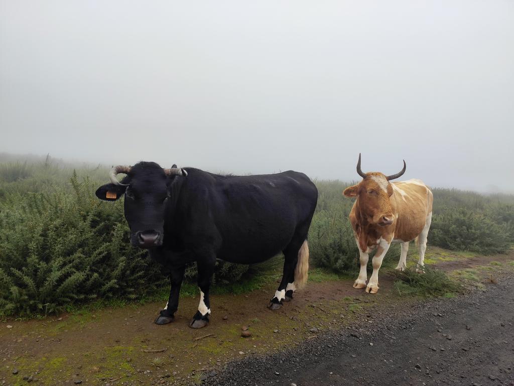 Aussicht war eher mau, aber das Publikum dort war sehr nett