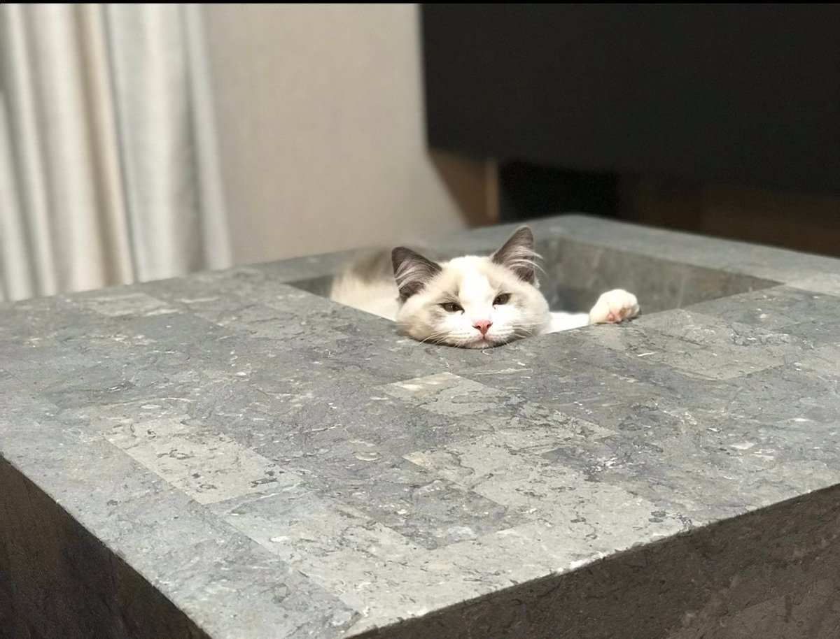 観葉植物が置けるテーブルを買った結果