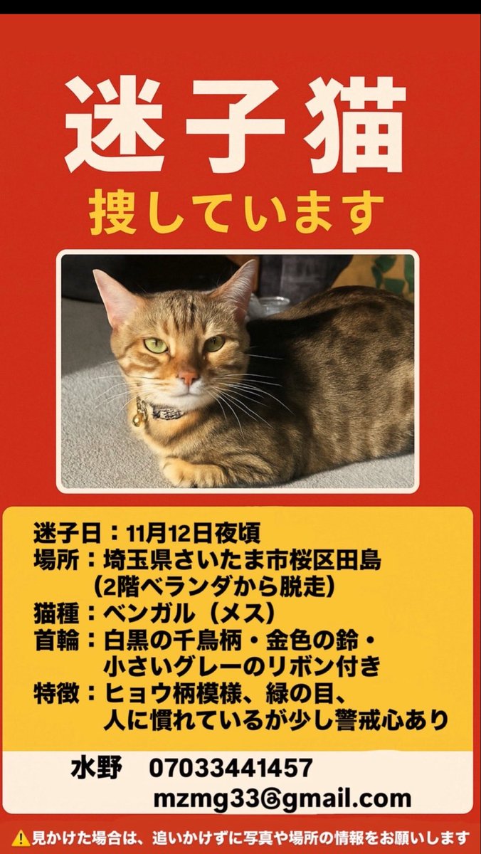 RyouMars10's tweet photo. ベンガルが迷子になってしまいました！
心当たりがあったり、お見かけした方ご連絡下さい🙇🏻‍♀️

 #迷子猫　#迷い猫 #拡散希望 #さいたま市 https://t.co/5gU5wpPZpo