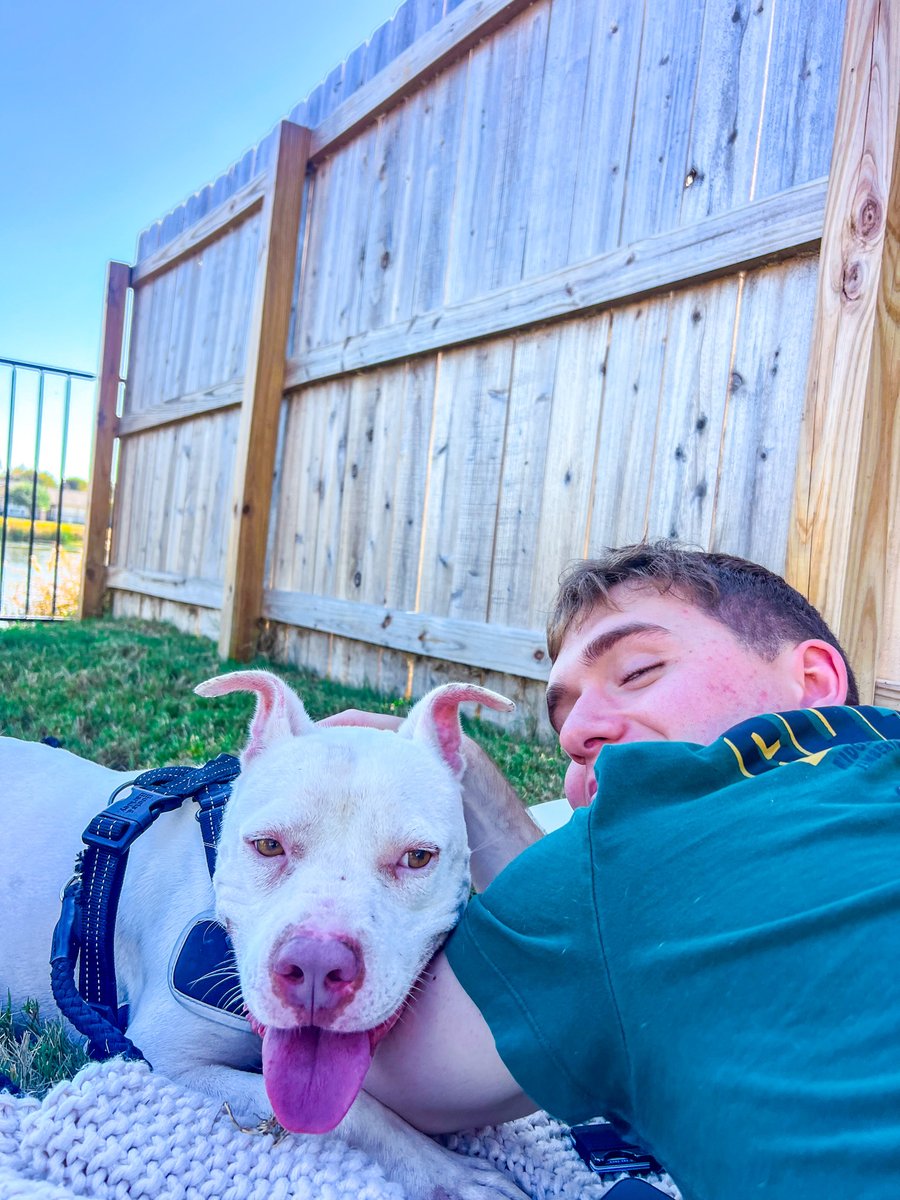 🧀 Remember Colby Jack? | 2-yrs-old | 44 lbs. | Come adopt this boy!

He’s friendly, fun, and would thrive with an active family ready for adventure. 💛 Come meet him at Pet Circle — he’s waiting to win you over!

#petcirclewaco #offthecircle #adoptdontshop #fosteringsaveslives