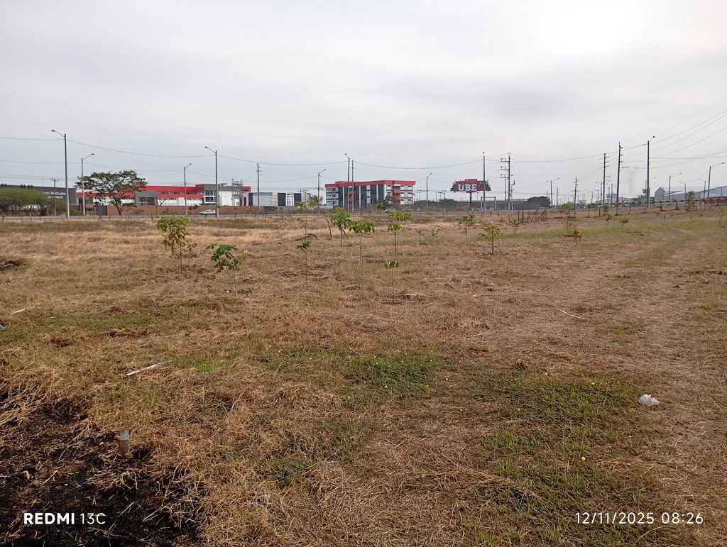 <a href="/CECerroAzul/">Cascada Estacional Cerro Azul</a> <a href="/UbeEcuador/">UBE | Universidad Bolivariana Del Ecuador</a> <a href="/PrefGuayas/">Prefectura del Guayas</a> <a href="/ITBolivariano/">ITB Instituto Superior Universitario Bolivariano</a> <a href="/asomi_ec/">Centro Médico Asomi</a> <a href="/ATD_Duran/">ATD Durán</a> <a href="/GobiernodeDuran/">Gobierno Municipal de Durán</a> <a href="/rtolozano2/">Roberto Tolozano</a> <a href="/eluniversocom/">El Universo</a> <a href="/Expresoec/">Diario Expreso</a> <a href="/elferrodiario_/">EL FERRODIARIO</a> <a href="/donramon_10/">Ramón Sonnenholzner</a> <a href="/RtpEcuador/">RTP Ecuador 96.5 Fm</a> <a href="/AndreGonzalezNa/">AndreaGonzalezNader</a> <a href="/CientificasEC/">👩🏽‍🎓CientíficasEcuador🇪🇨</a> <a href="/NelsonTubay/">Nelson Tubay</a> <a href="/ayudamehenry/">Henry Alfredo Dueñas Vélez</a> <a href="/EcuavisaInforma/">Ecuavisa Noticias</a> <a href="/ambiente_ec/">ambiente_ec</a> <a href="/Educacion_Ec/">Ministerio de Educación, Deporte y Cultura</a> <a href="/JessicaLavayenT/">Jessica Lavayen Tamayo</a> <a href="/marcelaguinaga/">Marcela Aguiñaga</a> <a href="/PoliciaEcuador/">Policía Ecuador</a> <a href="/charlyacastillo/">Charly Castillo</a> <a href="/lahoragt/">Diario La Hora</a> <a href="/radiocentroec/">CENTRO Digital</a> <a href="/JerryRobalino/">Jerry Robalino</a> <a href="/PatoCornejo/">Patricio Cornejo</a> <a href="/jonathan_parra_/">Jonathan Parra</a> <a href="/eliastenoriom/">Elías Tenorio Martínez</a> <a href="/MonicaMolinaB/">Mónica Molina B.</a> <a href="/SbastienMlires1/">Sébastien Mélières</a> <a href="/EstebanOrtizMD/">Esteban Ortiz</a> <a href="/YTite59421/">yovana tite</a> <a href="/ubepostgrados/">UBE | Postgrados</a> <a href="/HMunetonZ/">Ing.Ind Holbach Muñetón Zaporta. Mgs.</a> <a href="/BomberosDuran/">Bomberos Durán</a> <a href="/Cupsfire_gye/">🇪🇨 CUPSFIRE</a> <a href="/EmergenciasEc/">Emergencias Ec</a> <a href="/RicardoGrunauer/">Ricardo Grunauer R.</a> <a href="/elcanillitaok/">El Canillita Digital</a> Las “coronas” evitaron que el fuego llegara directamente al tronco de la mayoría de los árboles en la zona afectada.

<a href="/BomberosDuran/">Bomberos Durán</a> logró controlar el incendio cuando este había alcanzado entre el 20 y el 30 % del #BosqueBolivariano. 

Gracias #Bomberos #Durán 👍🏾👏🏾👏🏾👏🏾