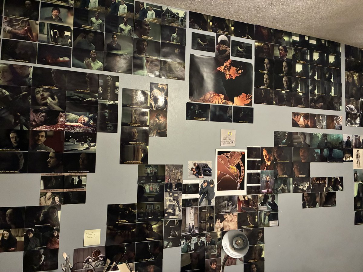 haylee 𐂂 tweet media