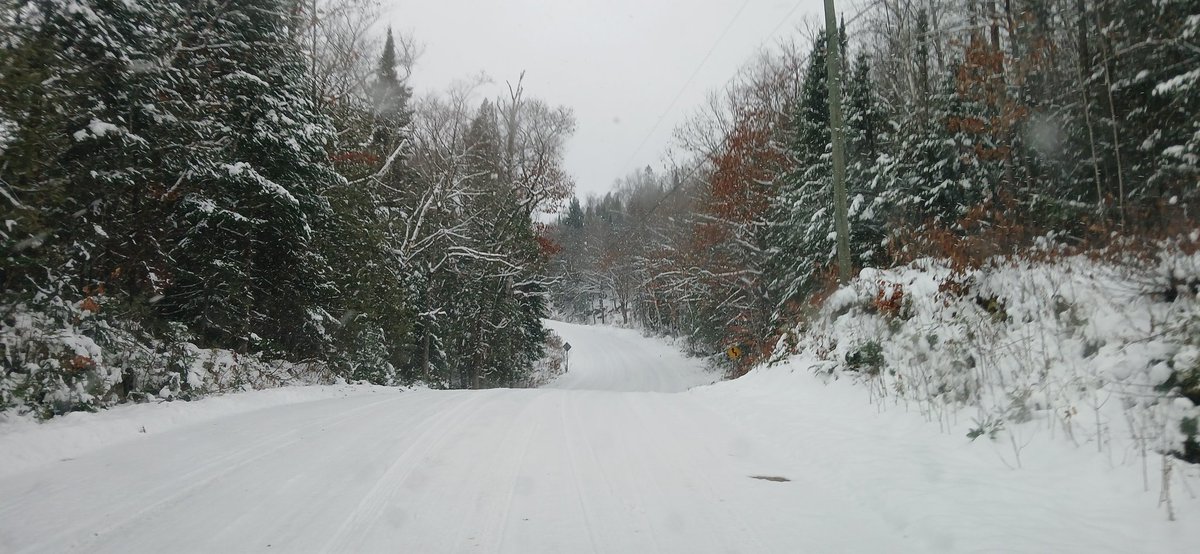 🇨🇦John Zwicker🇨🇦 tweet media