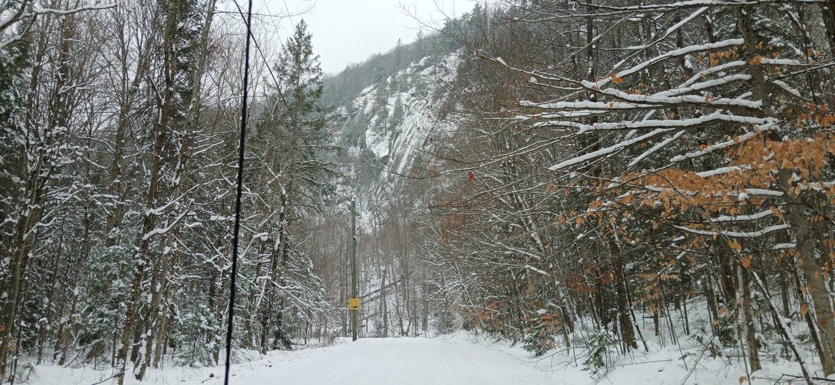 🇨🇦John Zwicker🇨🇦 tweet media