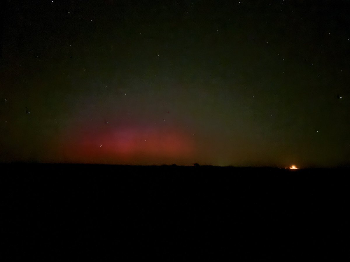 Steve Thompson tweet media