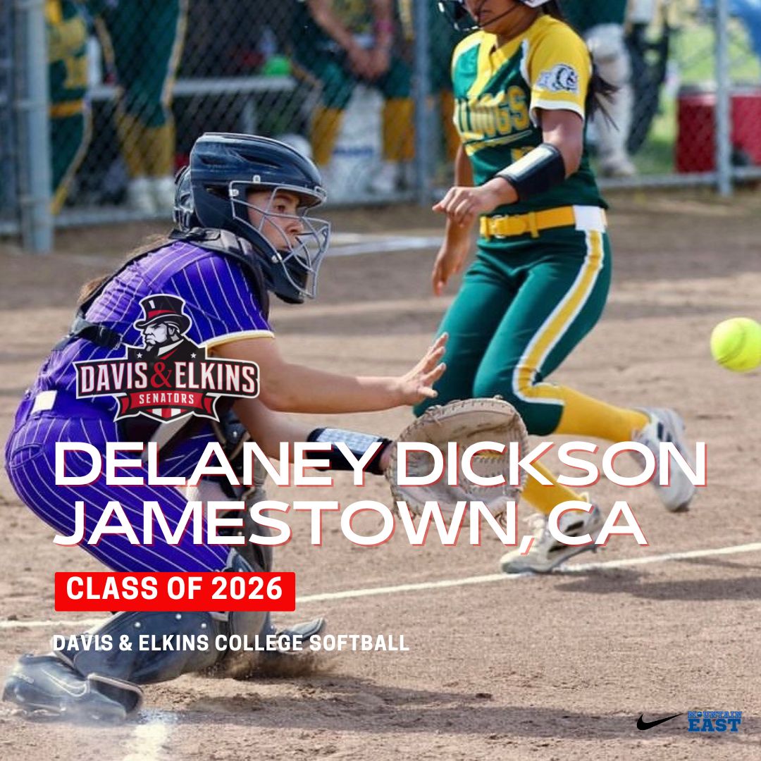 D&E Softball tweet media