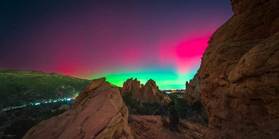 Charizard69 tweet media