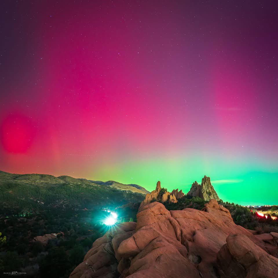 Charizard69 tweet media