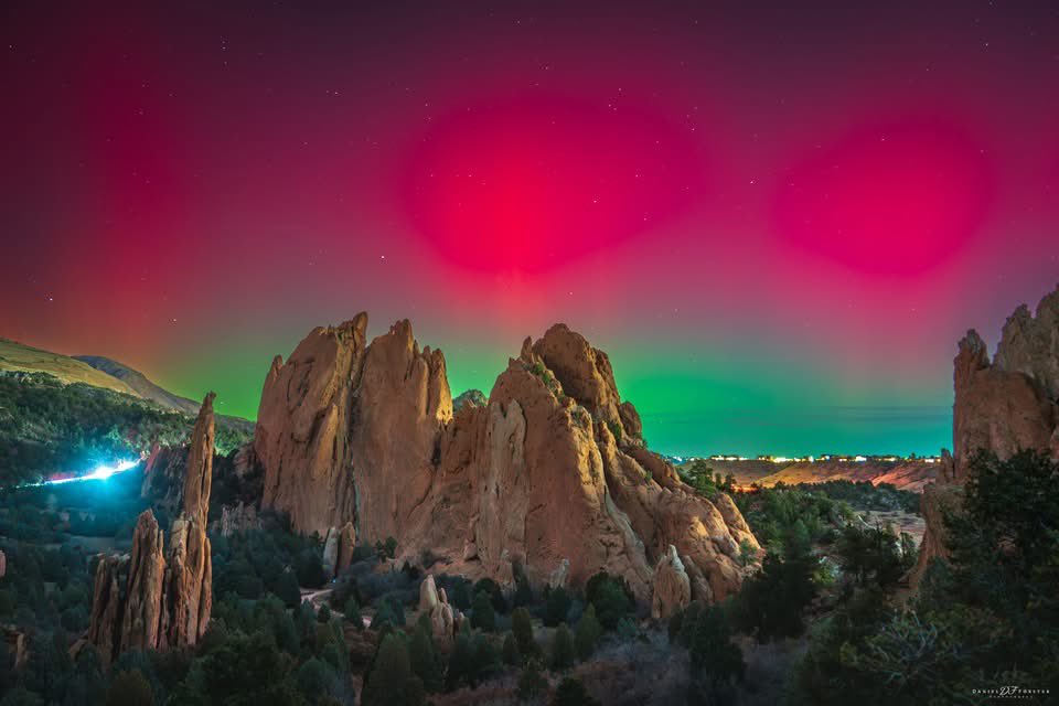 Charizard69 tweet media