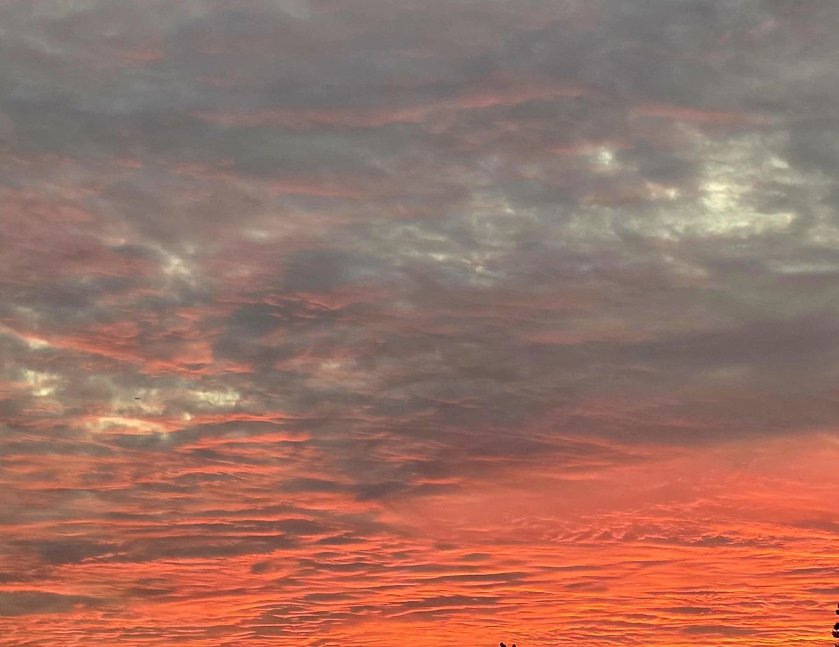 Tonight's SoCal sunset 🌇