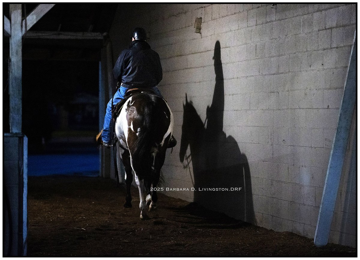 DRFLivingston's tweet image. D. Wayne Lukas

Early morning at Churchill Downs, April 2025