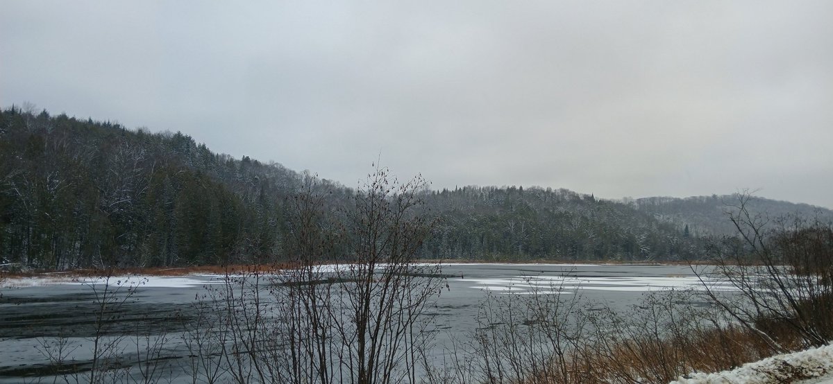 🇨🇦John Zwicker🇨🇦 tweet media