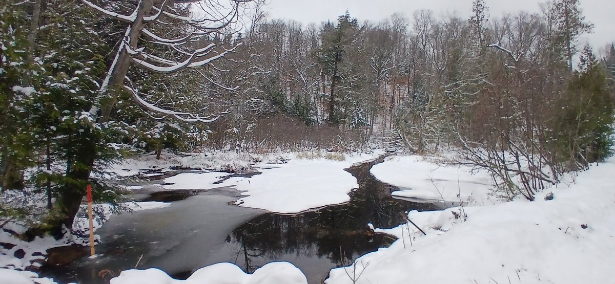 🇨🇦John Zwicker🇨🇦 tweet media