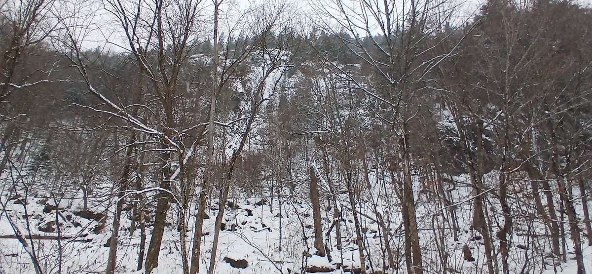 🇨🇦John Zwicker🇨🇦 tweet media