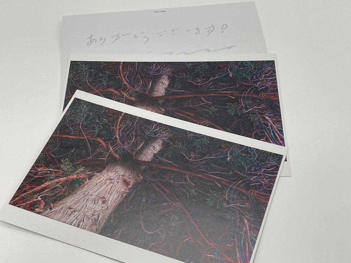 かずま 夜露集中 サイン 真夜中ぱんチ|映像商品: | カドスト | KADOKAWA公式オンラインショップ