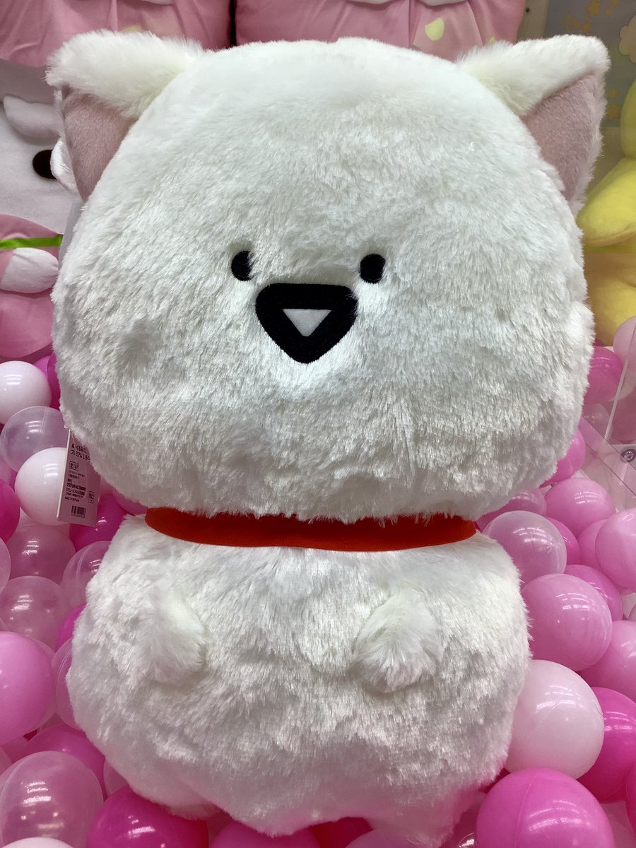 新景品です✨ 『#お文具といっしょ ネコになりきりぬいぐるみXL