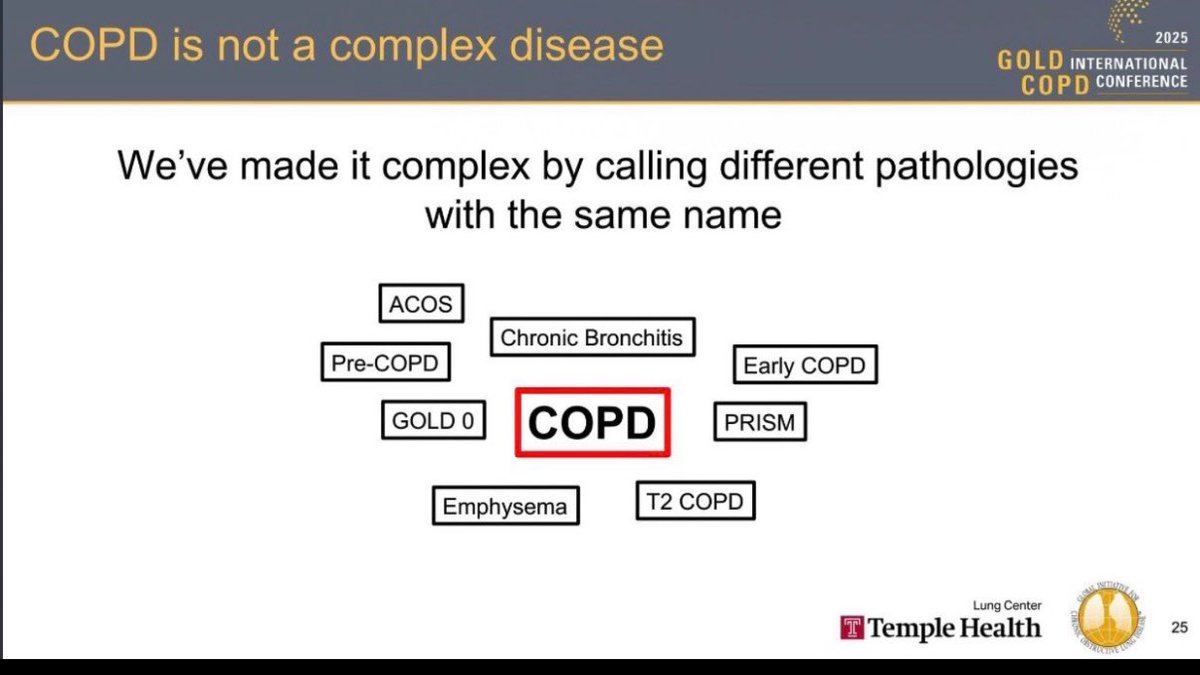 FrancyPolverino's tweet photo. Today at #GOLD2025 I had the chance to discuss biomarkers in COPD; both those already guiding care and the promising ones on the horizon. The future of COPD is looking very exciting
@TempleUniv
#cureCOPD https://t.co/ecXibF1Pfg