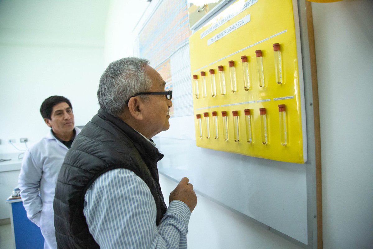 Víctor Flores tweet media