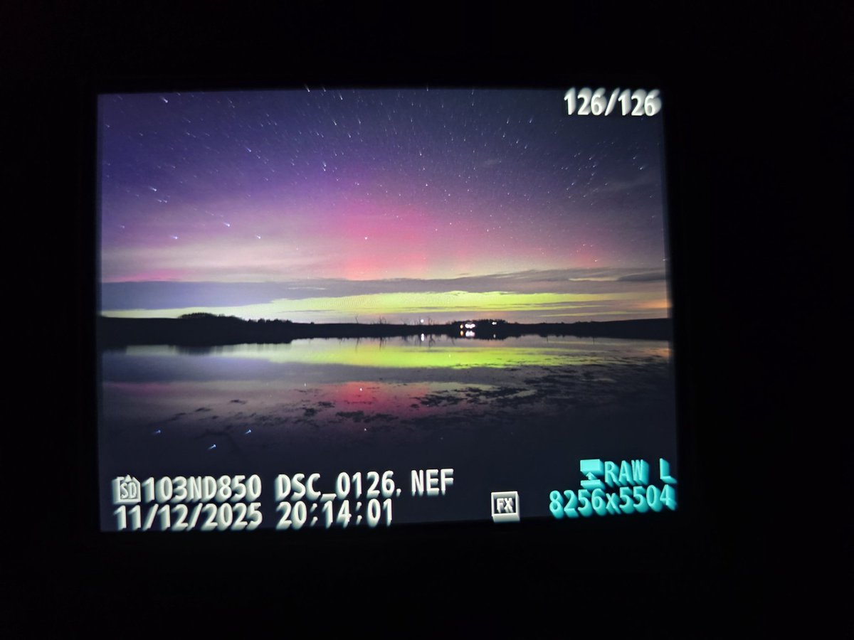 Brandon Hammons tweet media