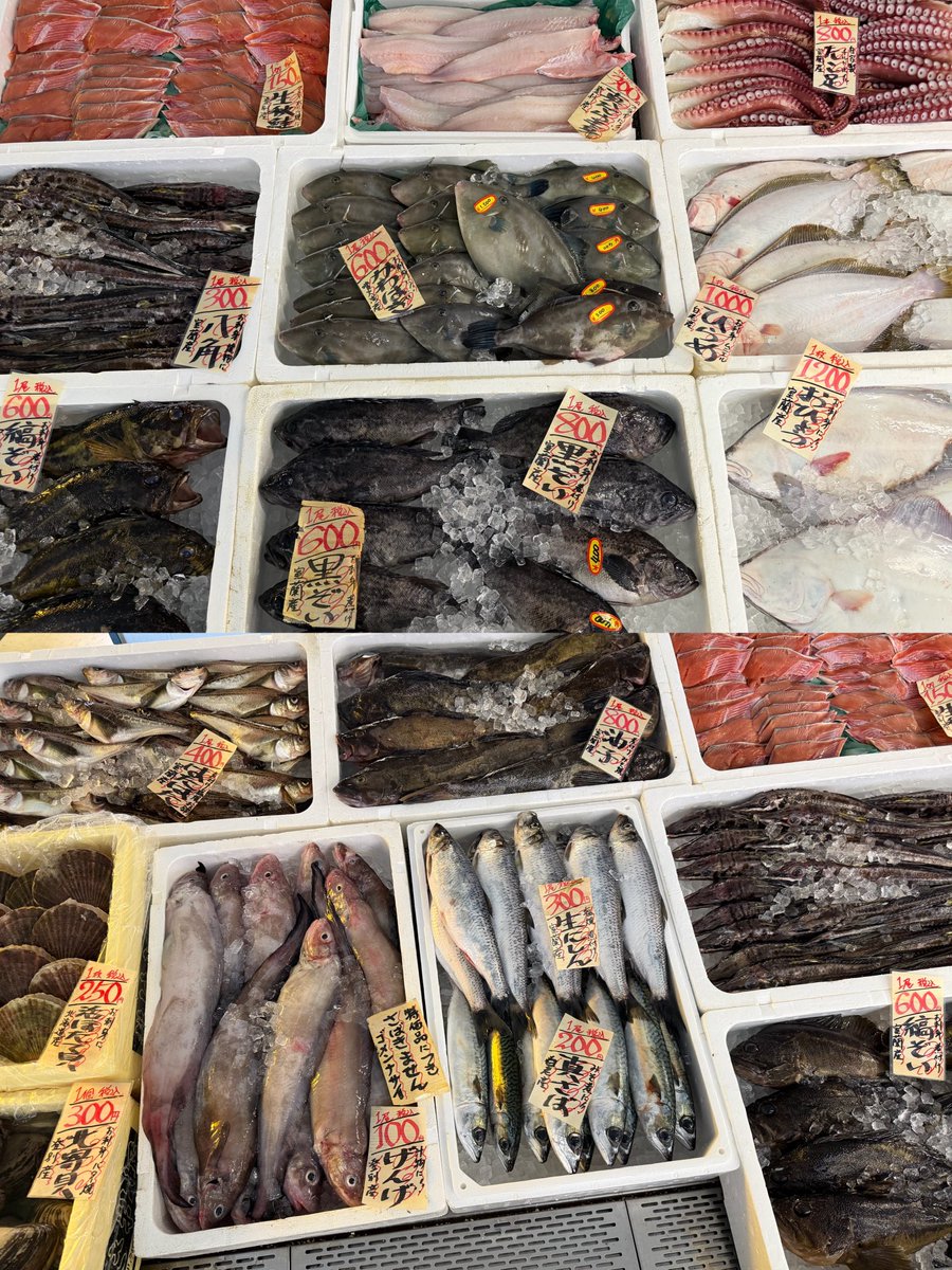 おはようございます🔆 11月13日木曜日のおすすめ☝🏻⸒⸒ 本日炊きたて