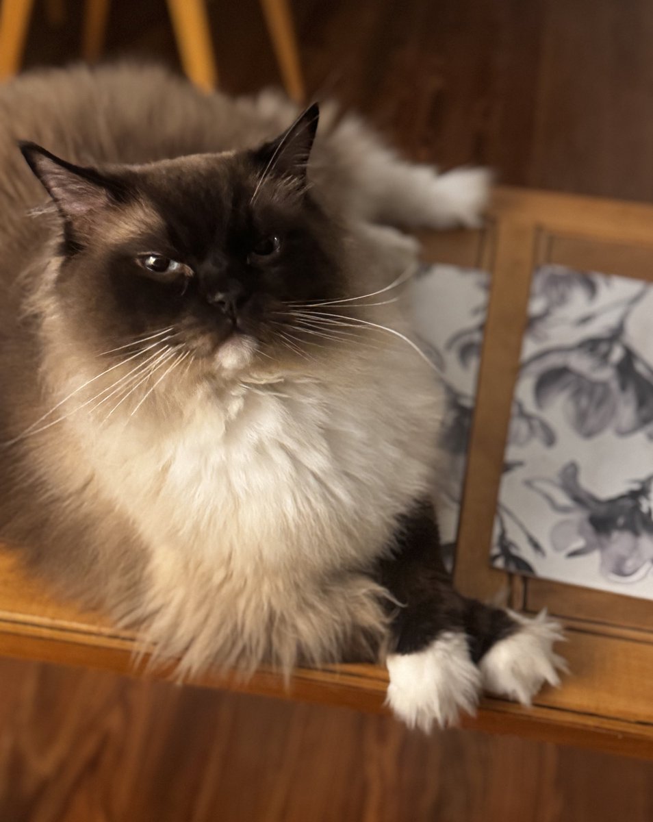 Me mata que siempre tenga las manitos cruzadas