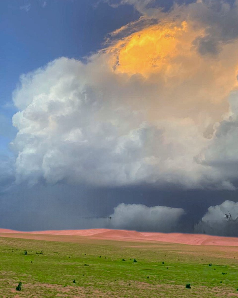 ♦️ صبحكم الله بالخير ⛈️
🔆 قال الله تعالى :
﴿ فَخَرَجَ عَلَىٰ قَوْمِهِ مِنَ الْمِحْرَابِ فَأَوْحَىٰ إِلَيْهِمْ أَن سَبِّحُوا بُكْرَةً وَعَشِيًّا﴾ 
[ سورة مريم: 11]
            🌼 سبحان الله وبحمده 🌼