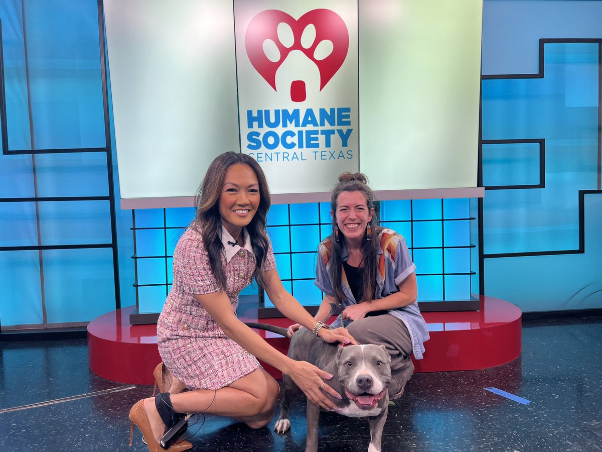 MG Montemayor tweet media