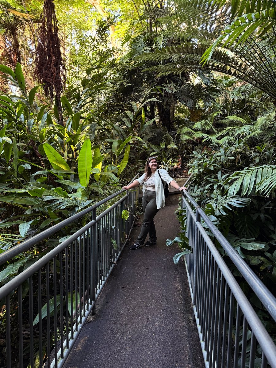 QuantumVibeHive's tweet image. The path unfolds only as we walk it. The step itself is the teacher, not the destination. We don't need to see the whole way forward... just trust that the next step is on the right path. ✨
#trusttheprocess #thejourneyisthedestination #quantumphilosophy